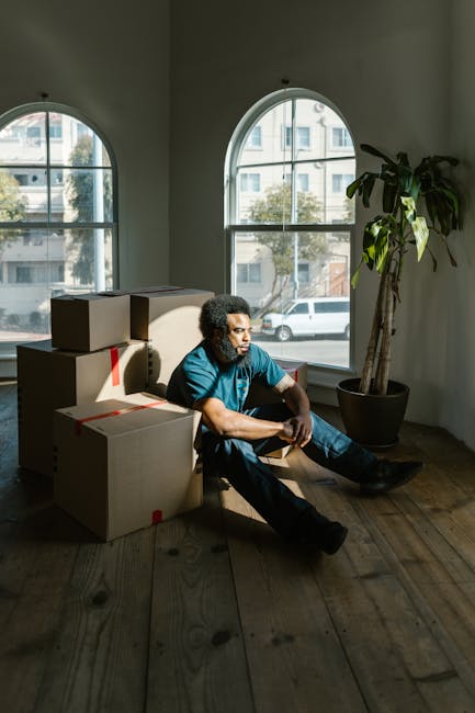 Inside a well-lit room with large arched windows revealing a view of parked cars and nearby buildings, a person with curly dark hair, wearing a blue shirt and dark trousers, is seated on a wooden floor among several cardboard boxes, some sealed with red tape. The boxes are stacked, with a few placed behind and beside the individual, indicating they are in the process of packing or preparing for a home relocation. Nearby, a tall potted plant with broad green leaves accents the space, adding a touch of greenery. The natural light from the windows illuminates the interior, highlighting the furniture, boxes, and movement involved in a furniture transport and packing process. The scene reflects the typical environment during house removals or moving logistics, where careful packing and organizing are essential before loading items onto a removal van, consistent with the services offered by Removal Van Kentish Town for residential moves.